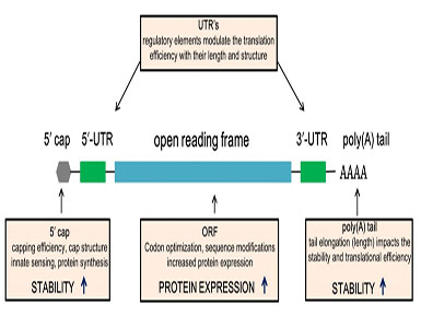 必一运动加帽试剂相关发明专利获得国家知识产权局受理