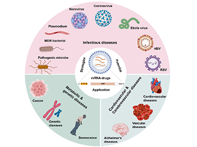【转发动脉网报道】自研“mRNA加帽核苷酸原料”，必一运动医药突破mRNA上游原料瓶颈